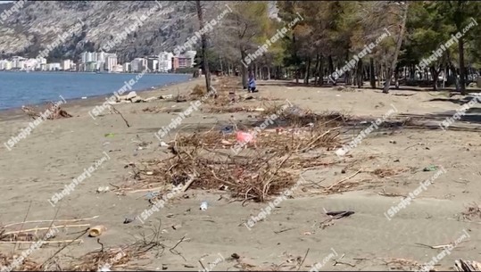 Katastrofë ekologjike në Kune në Shëngjin! Bregdeti mbulohet nga mbetje te ndryshme, deri tek kafshët e ngordhura