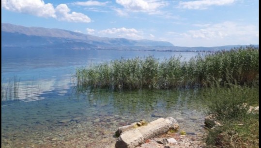 Po peshkonin në kundërshtim me ligjin, vihen nën hetim 5 peshkatarë në Pogradec