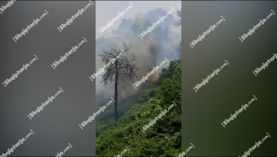 Dëgjohen shpërthime të fuqishme të municioneve në ishullin e Sazanit, nuk dihet gjendja e ushtarakëve që po luftojnë me flakët (VIDEO)