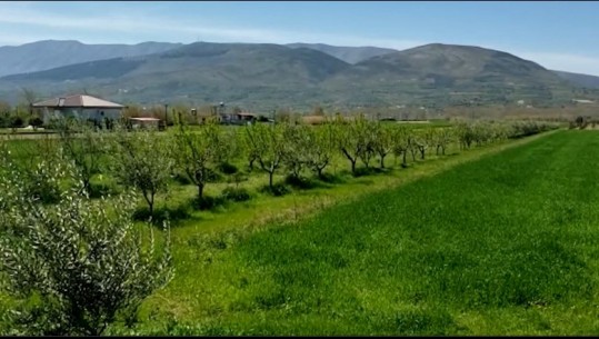 Projektligji për bujqësinë e zhvillimin rural, kreu i sindikatës: Skemat që po aplikohen, diskriminuese për fermerët