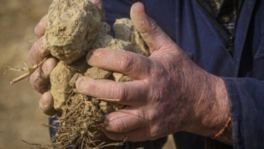 Thatësira më e madhe në 70 vjet dhe temperatura të larta, Italia shpall gjendjen e jashtëzakonshme në pesë rajone