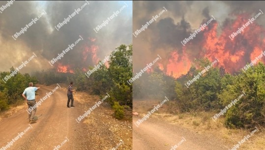 Zjarr i fuqishëm në Mirditë, rrezikohen banesat dhe vreshtat e rrushit