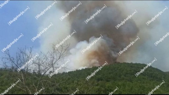 Malësia e Kurbinit prej ditësh në pushtetin e flakëve, ndërhyhet nga ajri! Disa banesa në rrezik nga përhapja e flakëve  