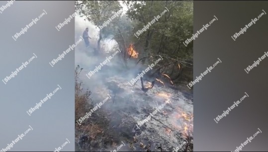 Zjarr gjatë natës në fshatin Levan të Memaliajt bariu i zonës i vë flakën 6 hektarëve tokë! Flakët agresive (VIDEO)