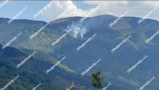 Zjarr në pyjet mbi kampin e Qafështamës! Në vendngjarje nisen zjarrfikësit e Krujës