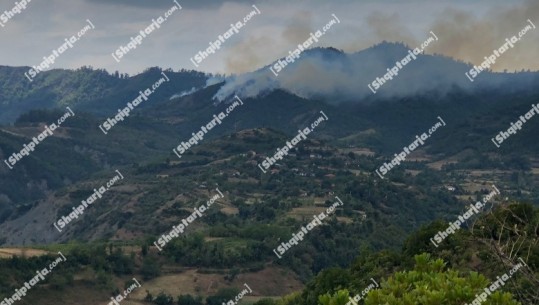 Zjarr masiv në Gramsh, terreni vështirëson punën e zjarrfikësve