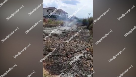 Zjarr përballë një karburanti në fshatin Otllak të Beratit! Flakët shumë pranë banesave