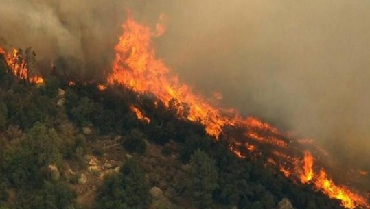 Ulja e temperaturave 'shuan' zjarret në vend, vetëm një vatër aktive në 24 orët e fundit! Izolohen 19 prej tyre