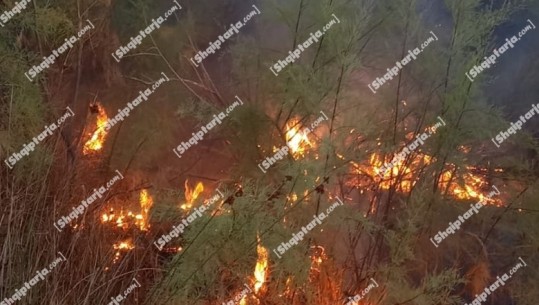 Vlorë, përfshihet nga zjarri një sipërfaqe me shkurre në Nartë