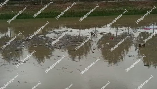 VIDEO/Reshje masive në Lezhë, lumi Drin nxjerr në sipërfaqe mbeturina të shumta