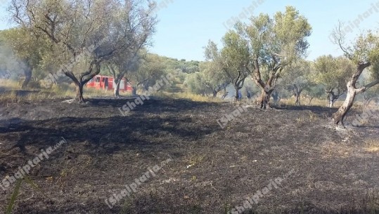 Poliçan/ Ndezi zjarr për të djegur mbeturinat, por i del jashtë kontrollit, ndërron jetë 73-vjeçari nga asfiksia