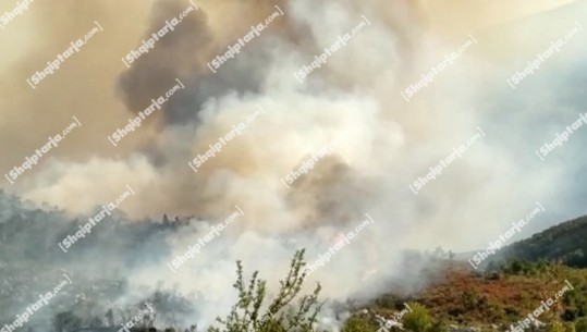 Vlorë, zjarr masiv në një sipërfaqe pyjore në Dukat! Shuhen flakët në ullishtat e Jonufrës