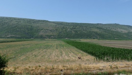 Shqipëria dhe industria e energjisë së erës në Shqipëri, sa potencial diellor dhe eolik për prodhim energjie ka vendi