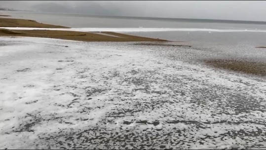 Pogradec/ I mbrojtur nga UNESCO, Ohri rrezikon të kthehet në kënetë! Në liqen derdhen ujëra të zeza të papërpunuara! Eksperti ngre alarmin: Ndotja mbi normë