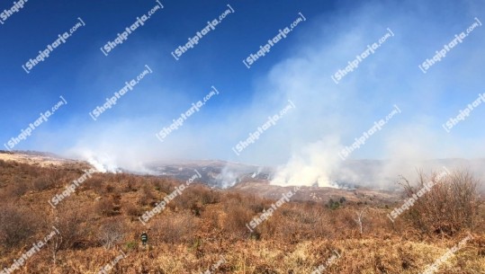 Përfshihet nga flakët një zonë me shkurre në Devoll, dyshohet e qëllimshme (VIDEO)