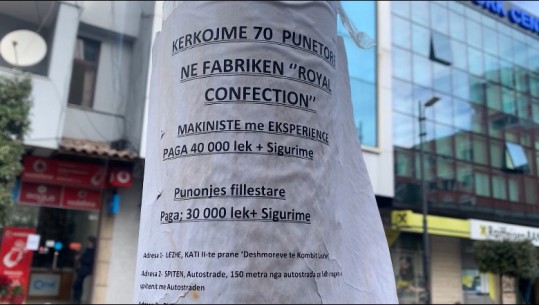 Ndërtimi e sektori i turizmit në krizë për punëtorë, qytetarët në Lezhë zgjedhin të punojnë në Gjermani: Këtu janë pagat e ulëta, pa sigurime