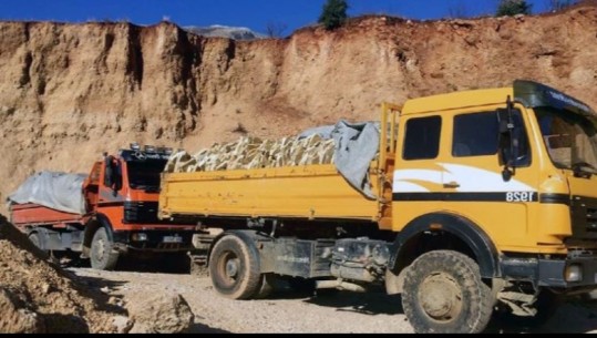 Transportonin pllaka dekorative në mënyrë të paligjshme nga mali i Tomorrit, nis hetimi ndaj 3 personave në Berat