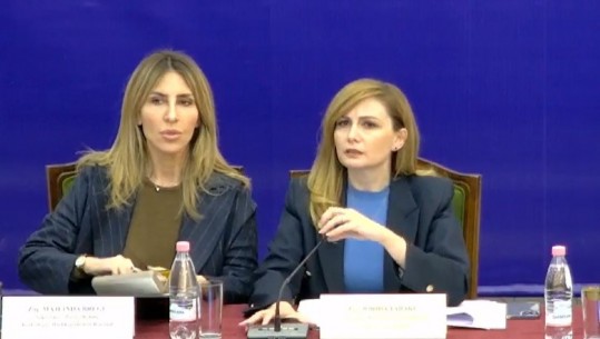 Majlinda Bregu ironizon Alibeajn: Logoja apo vula s'të bën kryetar! Frika ime më e madhe ishte vetëshkatërrimi i PD, gjë që po ndodh