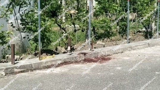 Elbasan/ 58-vjeçari vret me sëpatë kunatën, ishte i dehur! Autori u kap nga policia duke ecur me armën e krimit të mbuluar me gjak: E godita se më shau