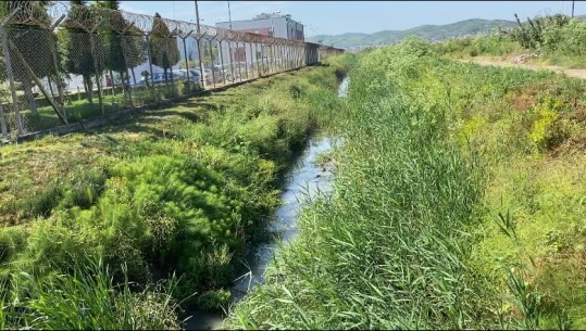 Kishte humbur kontaktet me familjen, Palombarët e RENEA-s gjejnë të mbytur në kanal 21-vjeçarin në Lushnjë