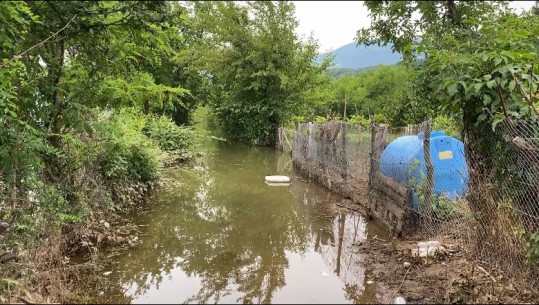 Kukës/ Banesat në fshatin Përbreg nën ujë prej një muaji, shkak rritja e nivelit të Fierzës! Banori: Ka ngelur të shkoj në shtëpi me not