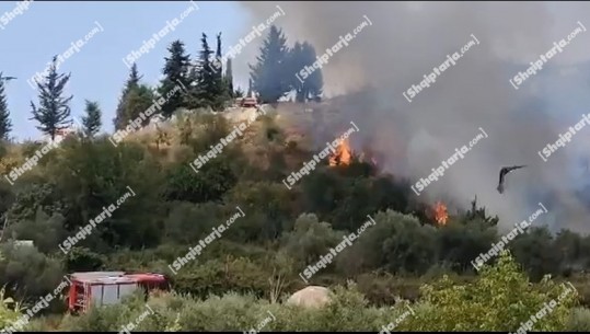 Kujdes zjarret! Këshillat e vlefshme për çdo njeri dhe numrat e telefonit që duhet të dini për të kërkuar ndihmë