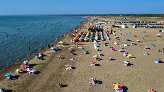 Braçe këshilla për pushuesit: Ikni në Divjakë mos u ankoni për çmimet e jugut! Ja ku e keni, pa pagesë fare, boll u ankuat