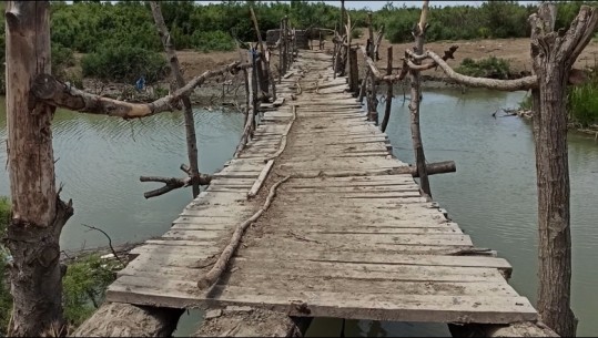 Laguna e Godullës në Kurbin 'e pushtuar' nga mbetjet! Peshkatari: Dikur këtu pija ujë, tani nuk gjuaj dot as peshk