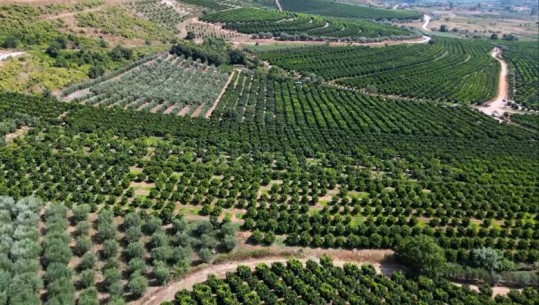 VIDEO/ Fshati Xarrë në Konispol, një ndër mrekullitë agrokulturore të Shqipërisë