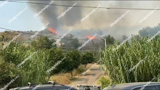 Shuhen flakët në kurorën e Laçit, afër Kishës së Shën Antoni! Në Fier u shmang rreziku për banesat! Zjarre dhe në Tepelenë e Finiq