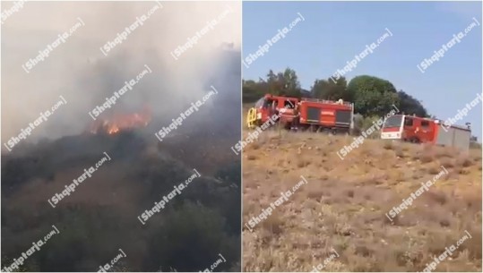 VIDEO/ Zjarr në Belsh, digjen shkurre dhe pemë! Era favorizon flakët