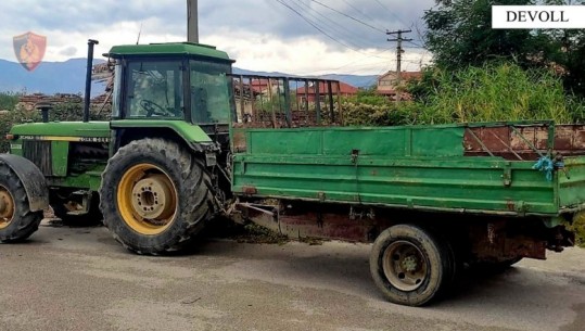 Devoll/ Po transportonte dru të prera në mënyrë të paligjshme, në pranga 65-vjeçari! S’kishte leje për drejtimin e mjetit