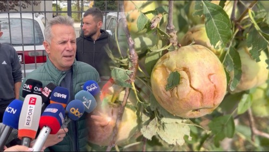 Dëmet nga breshri, fermerët e Korçës në protestë: Duam dëmshpërblim, gjithë prodhimi vjetor na u dëmtua