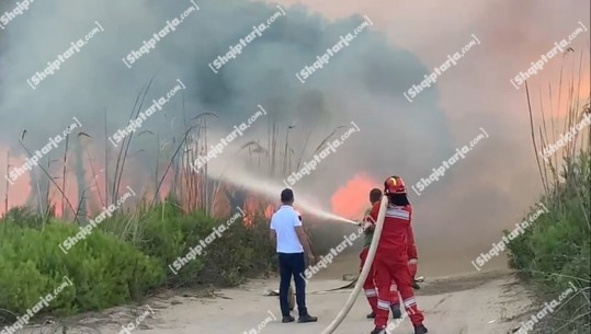 Zjarri në masivin pyjor Pishporo-Darëzezë, flakët dalin jashtë kontrollit! Zjarrfikësit në luftë me flakët