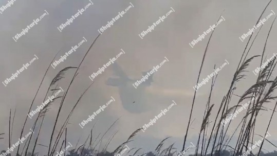 VIDEO/ Avioni ‘Canadair’ nga Greqia në aksion për shuarjen e flakëve në pyllin e Pishporos