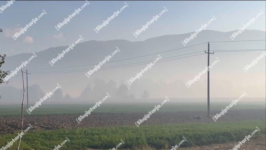 Djegia e torfës, Sheqerasi i Maliqit mbulohet nga smogu, banorët në protestë: Ndotja alarmante, po helmohemi! Topçiu: Veç shiu na shpëton