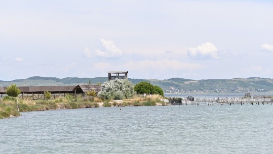 Marenglen Spiro: Problemi i vijës bregdetare dhe monitorimi gjeodezik i saj