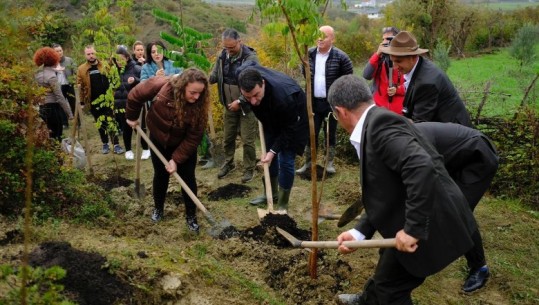 Tiranës i shtohen edhe 2500 pemë, Veliaj: Na duhen më shumë investime të tilla, që i ngelen qytetit! Merrni lopatat, erdhi koha e mbjelljeve