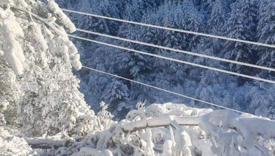 U ndërpre prej motit të keq, rikthehet energjia elektrike në Dibër