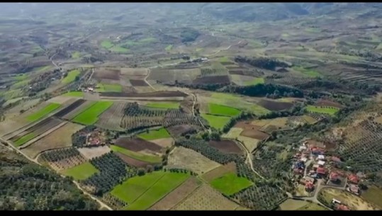 Fier/ Pamje përgjatë fshatit ku natyra është qëndisur me të mbjella nga fermerët duarartë