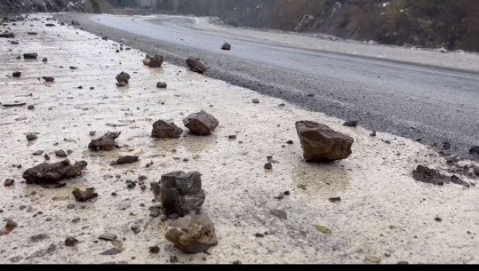 Reshjet/ Shembje masive gurësh në aksin Fushë Arrëz–Mirditë dhe në rugën e Arbrit! Era thyen pemët në Librazhd, dëme në disa biznese