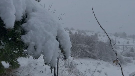 Një fundjavë në Dardhë? Nëse keni bërë plane, lexoni më parë këtë informacion dhe shikoni si ka zbardhur sot fshatin turistik në Korçë 