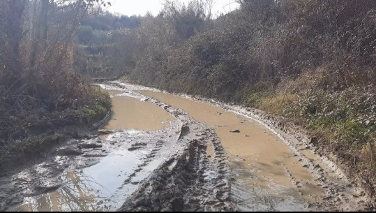 Dhjetëra banorë të Zhitomit në Poliçan izolohen në dimër! Rruga e paasfaltuar, banorët: Lëvizim me karroca kuajsh