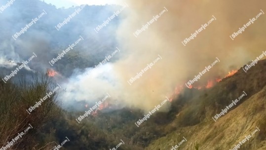 Vlorë/ Përfshihen nga flakët kodrat në fshatin Kërkovë, banorët digjnin barishte dhe u doli nga kontrolli  (VIDEO)