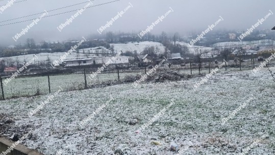 Dëbora rikthehet edhe në Dibër, reshjet rrezikojnë të dëmtojnë pemëtarinë