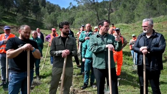 Mbillen 3000 rrënjë fidanë në Prush, Veliaj: Periferia është fokusi i këtij mandati; Jeta ndahet në ata që bëjnë punë dhe në ata që bëjnë si bretkosat në liqen