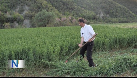 Punët e fshatit Trashovicë! ‘Një nga ne’ sjell historinë e Gëzimit, fermeri i palodhur që mban shpresat tek bujqësia: Ja sa do e shes grurin