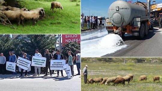 Speciale/ Blegtorët në udhëkryq, të zgjedhin kullotat apo emigrimin! Realiteti i trishtë i çobanëve që udhëhiqen nga pasioni (VIDEO)