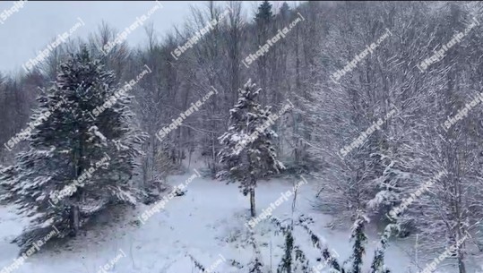 VIDEOLAJM/ Parku Kombëtar i Qafshtamës i 'veshur' me të bardha