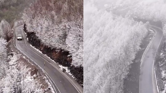 Pamje magjike nga Parku Kombëtar i Alpeve, flokët e borës bien mbi lulet e pranverës (Video)